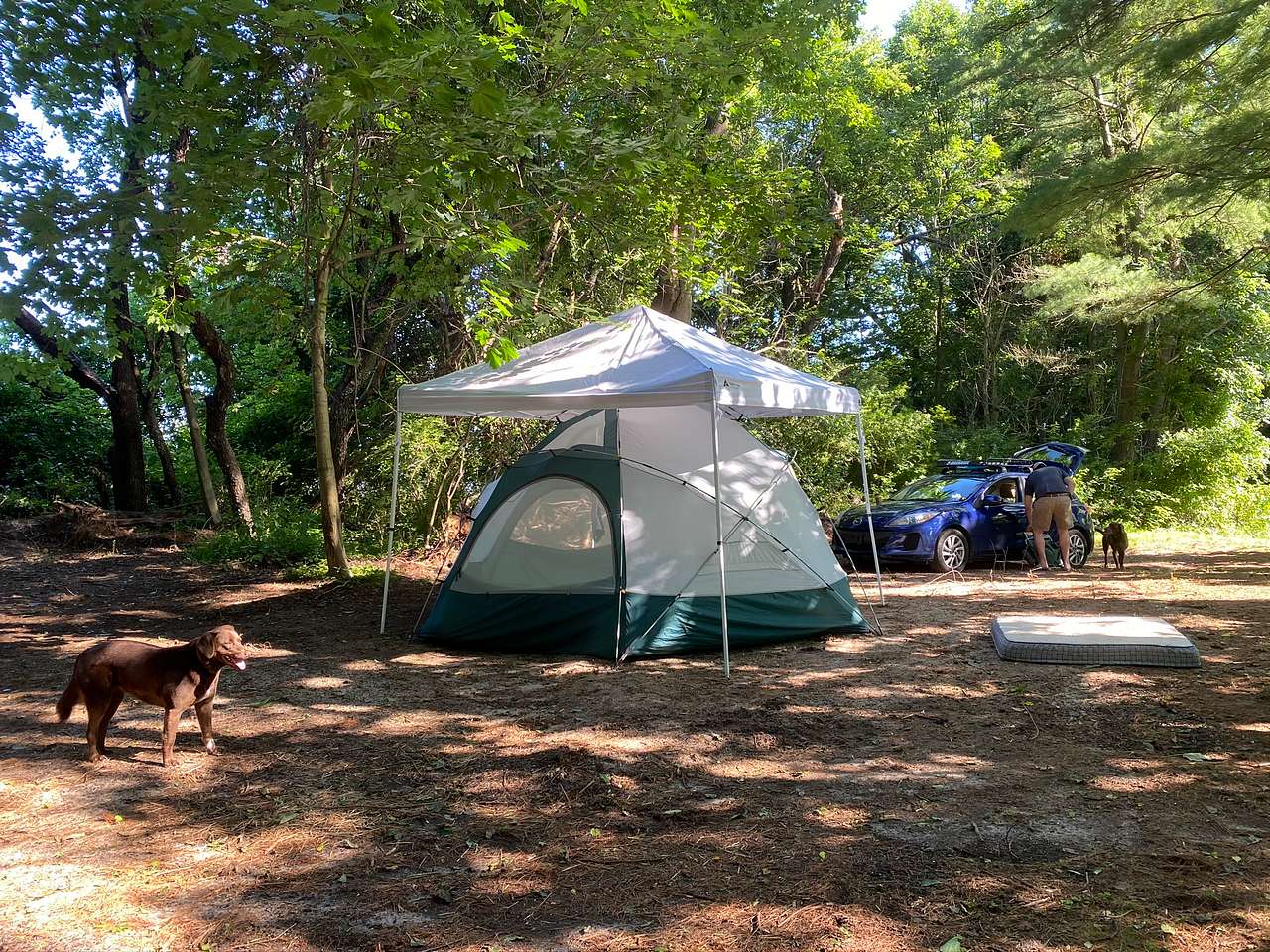 We were able to drive up to the campsite through access from a field that led up from the barn and property entrance