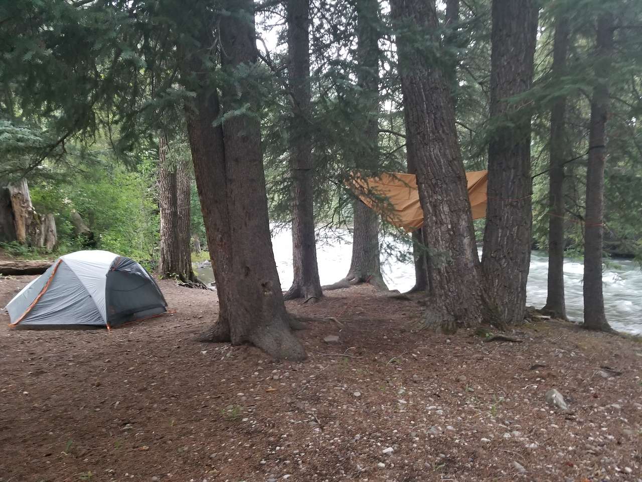 Plenty of flat ground for tents.