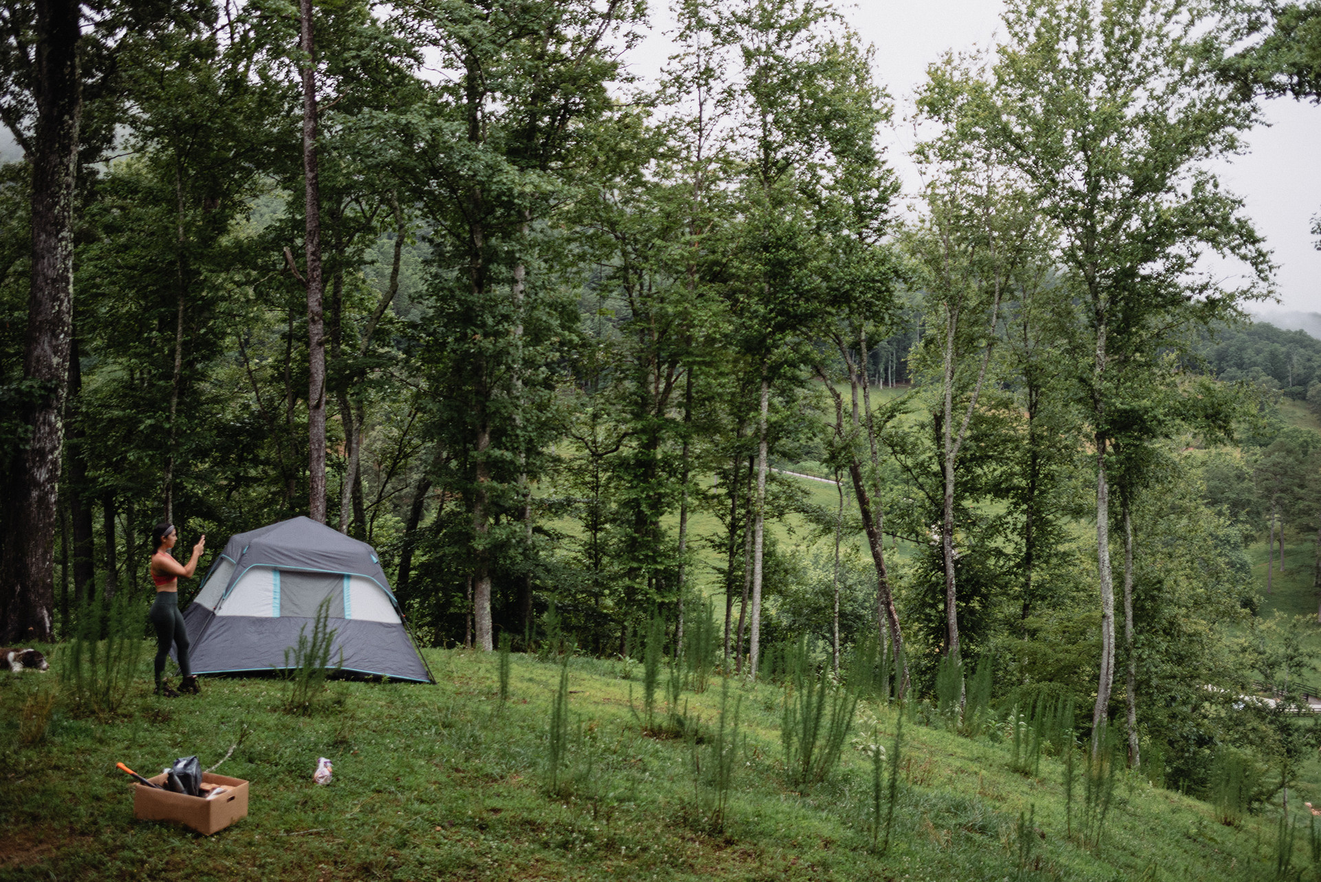 A wider idea of one of the tent sites.