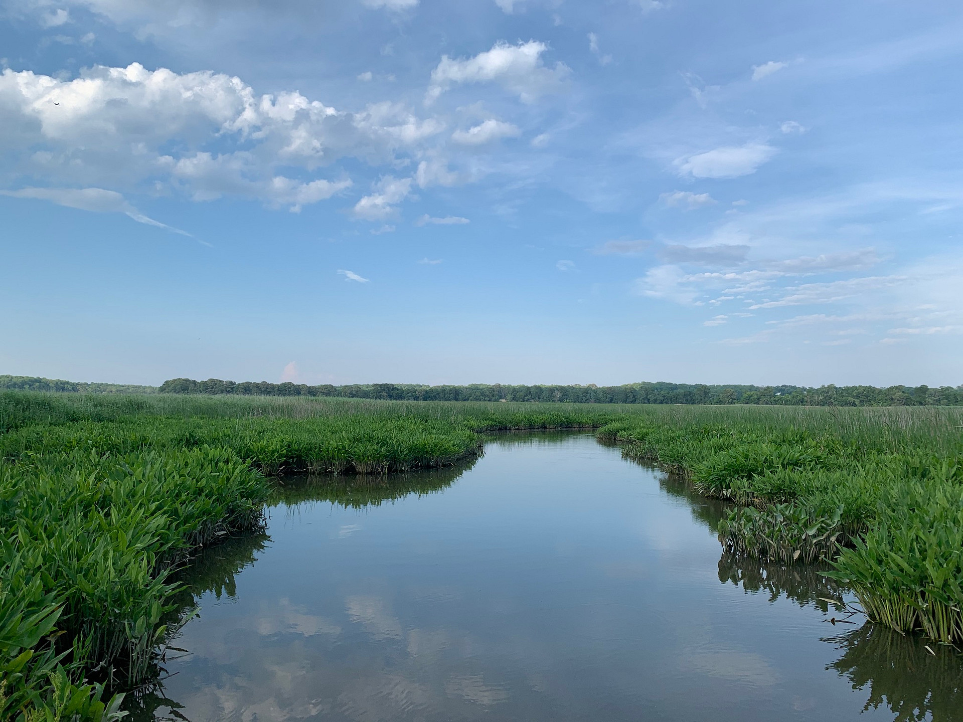Creek View