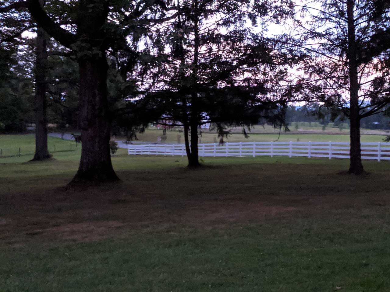 view