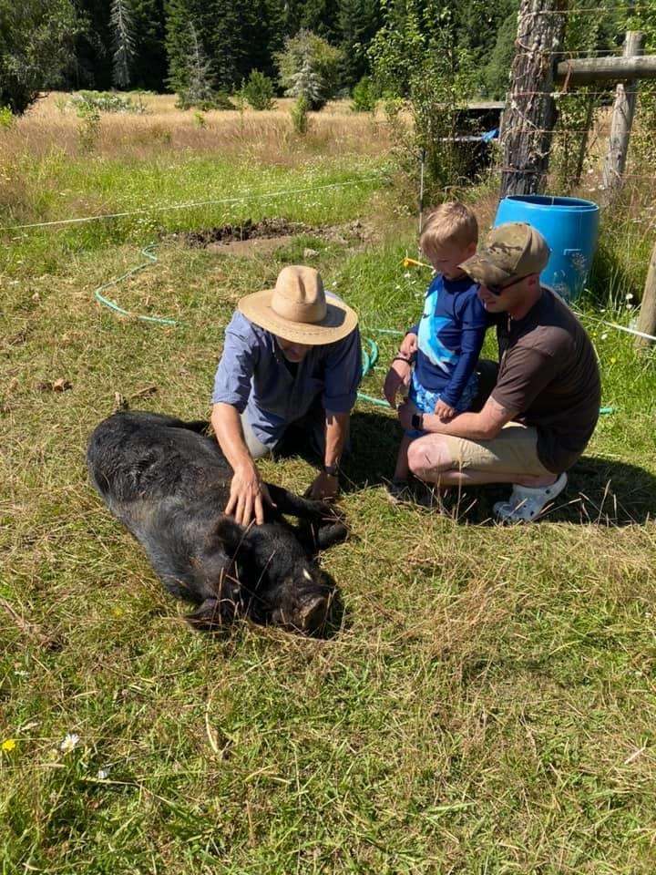 Lost Valley Farm Camp