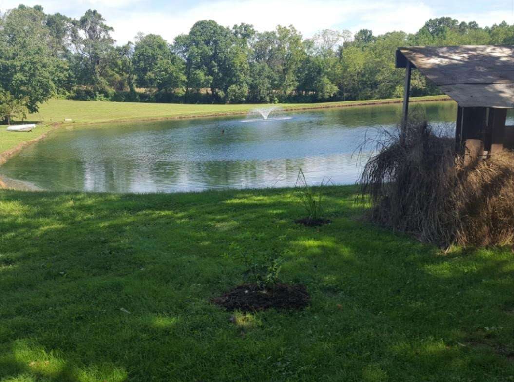 Fawn View Farm, Pond & Fields