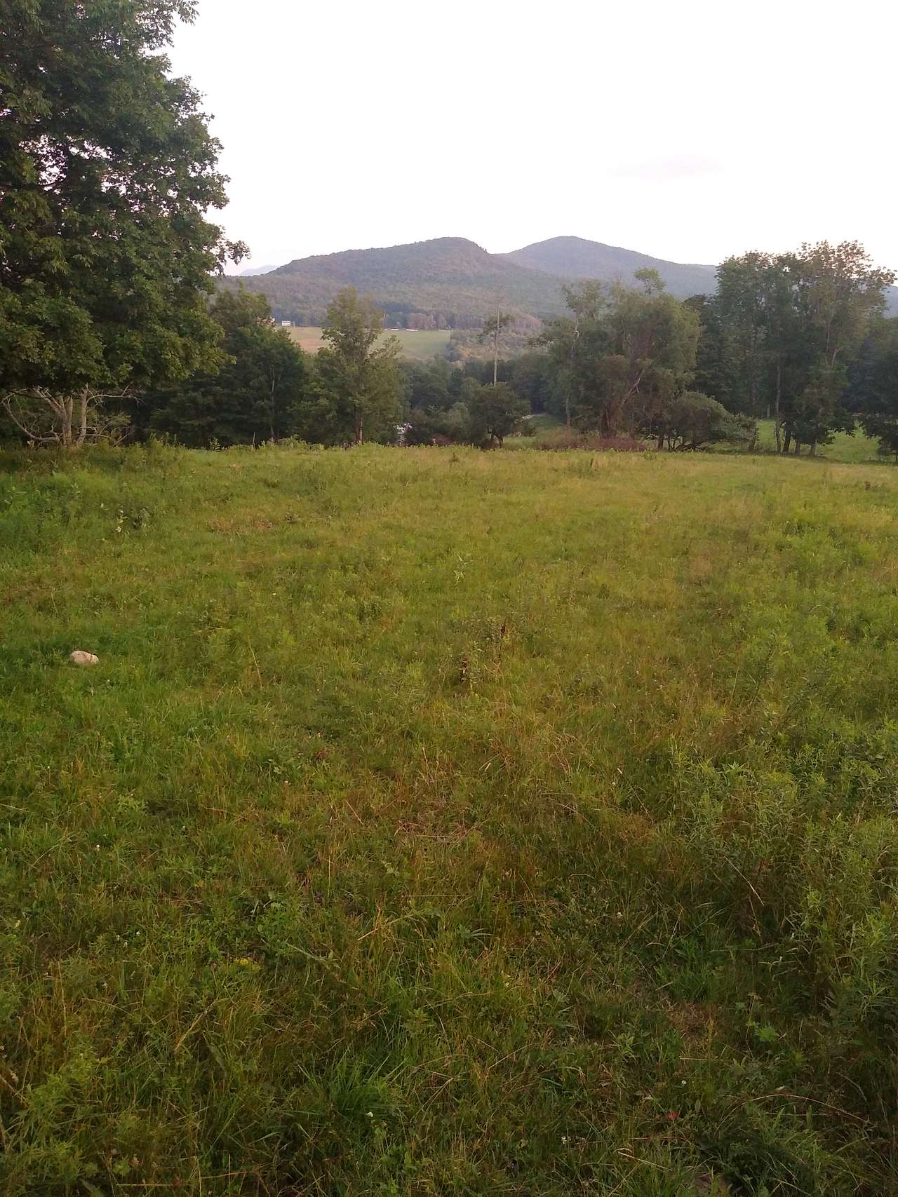 Squier Family Farm