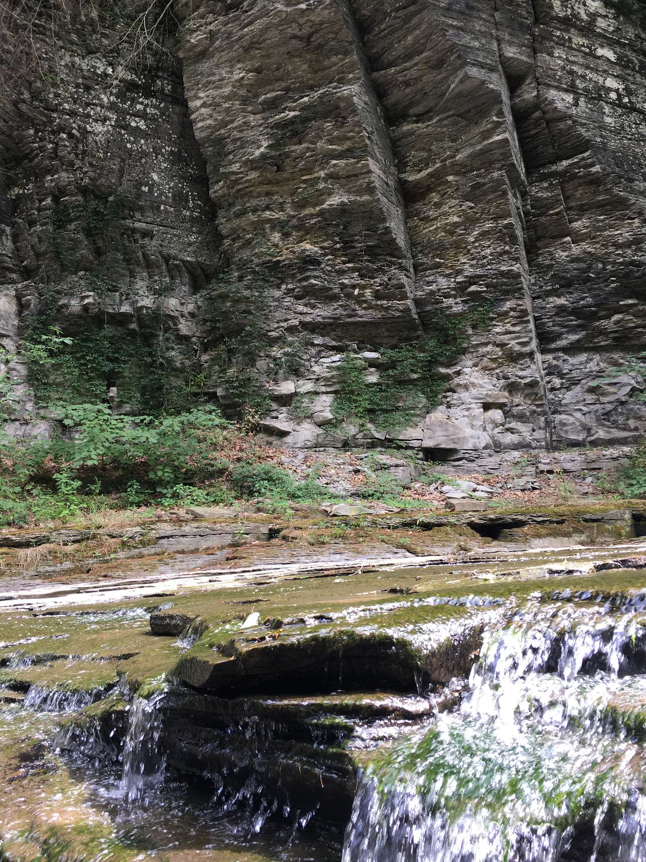 Millennia of Nature’s Work - Havana Glen