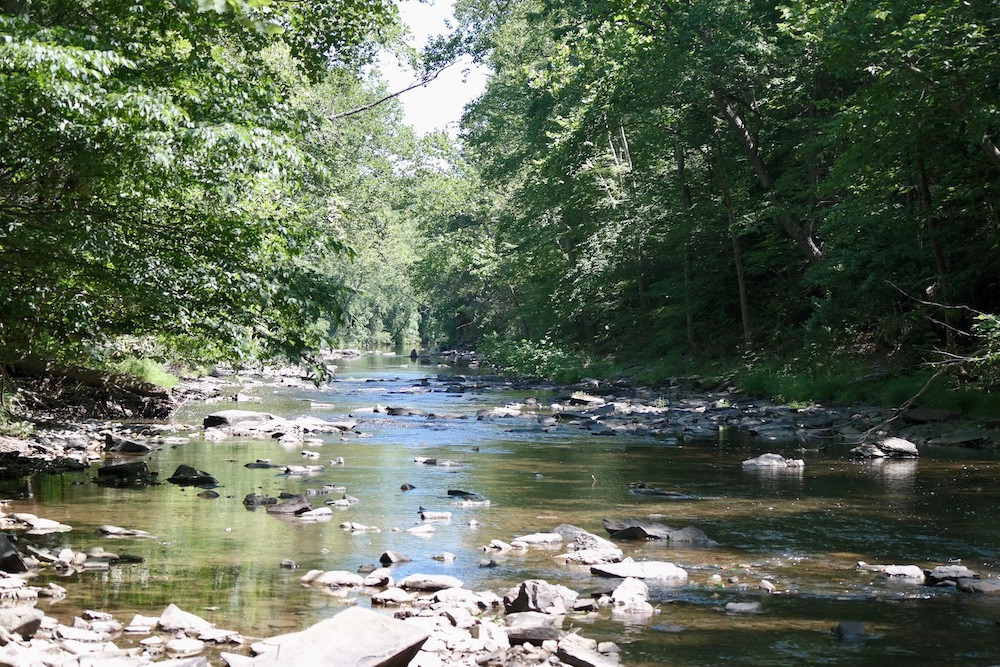 Cedar Creek