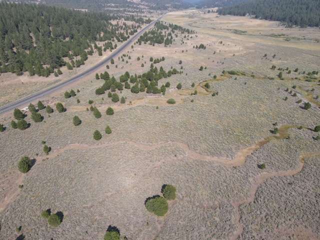 Phewpine Ranch