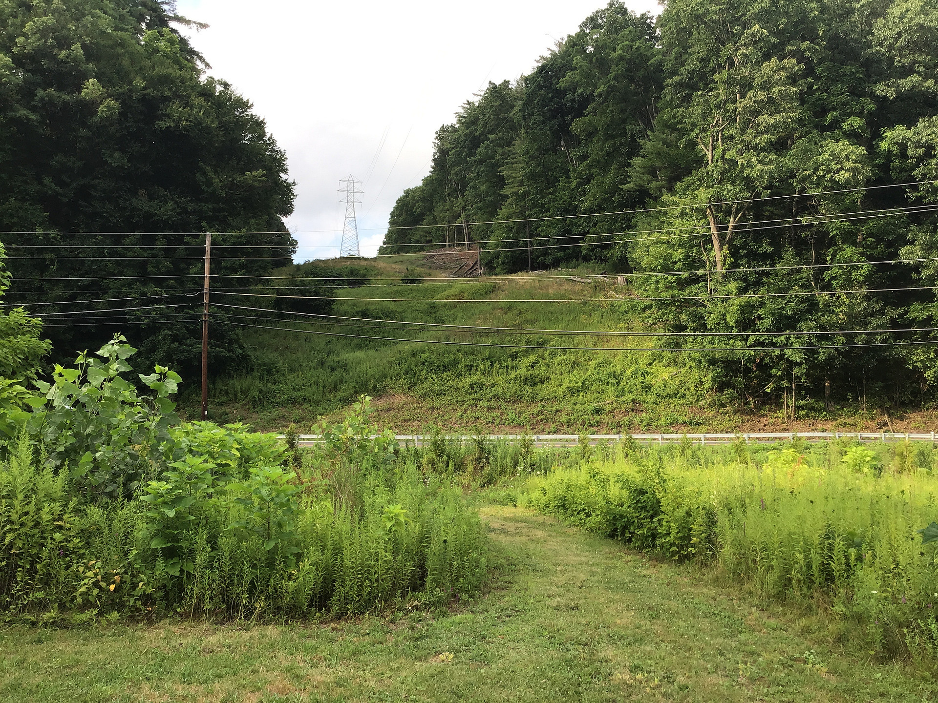 Private acreage across the street for hiking & mountain biking with some old lumber trails 