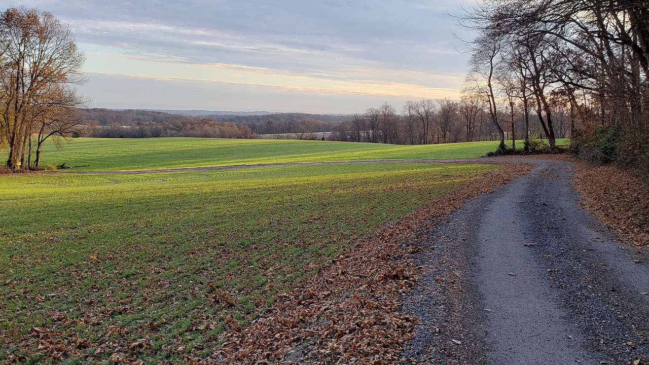 Fawn View Farm, Pond & Fields