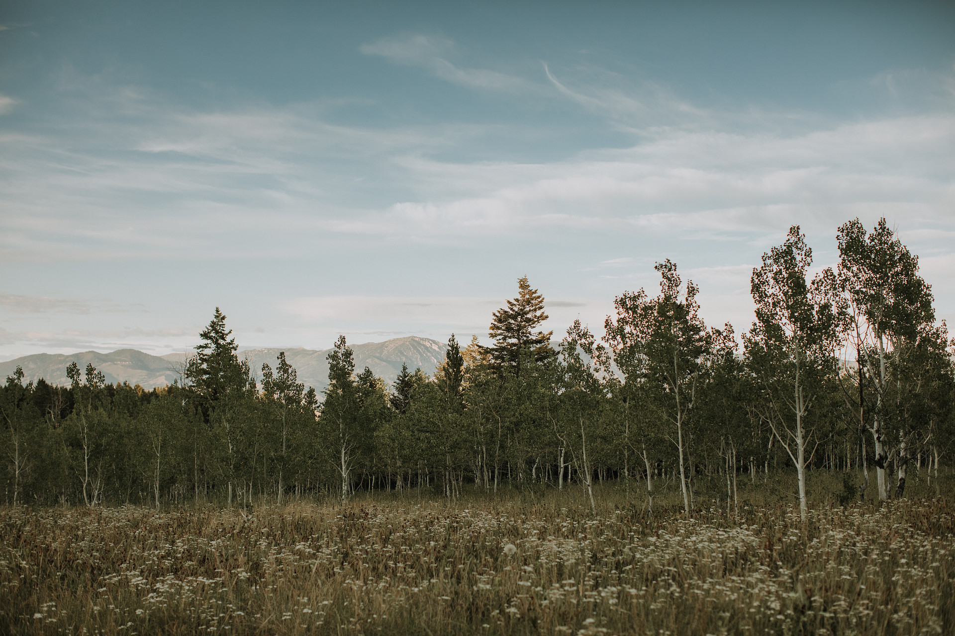 Such a serene space! 