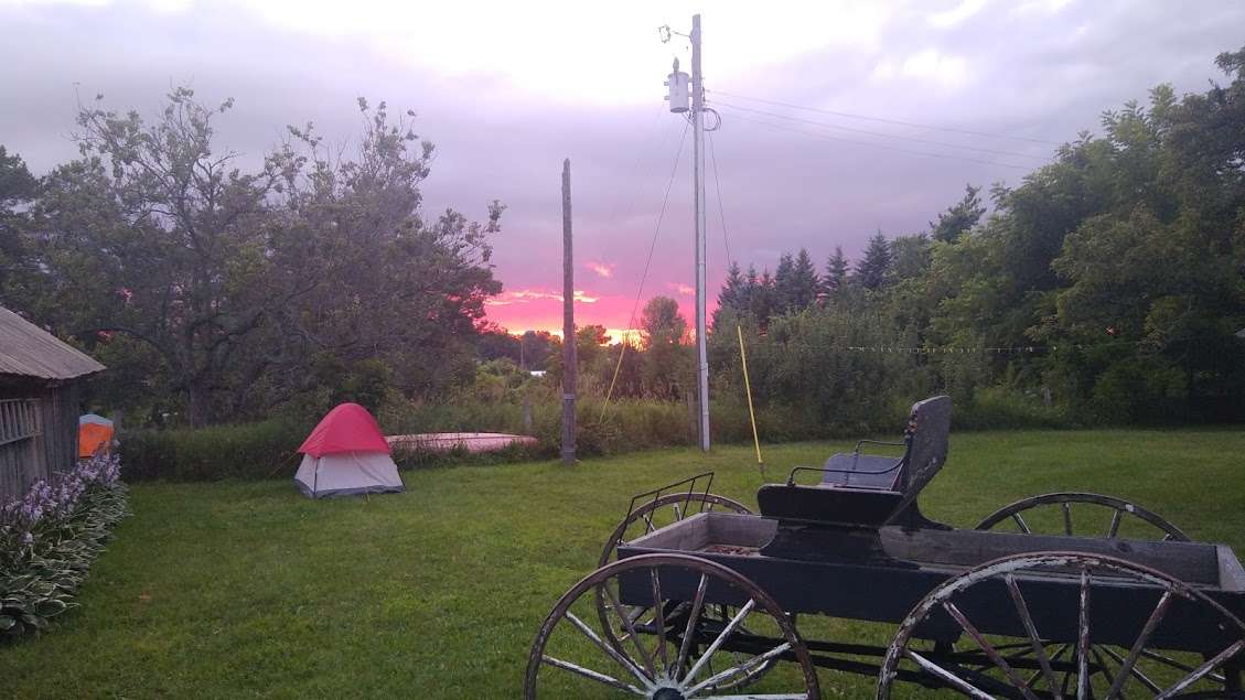 Dhaseleer Farm