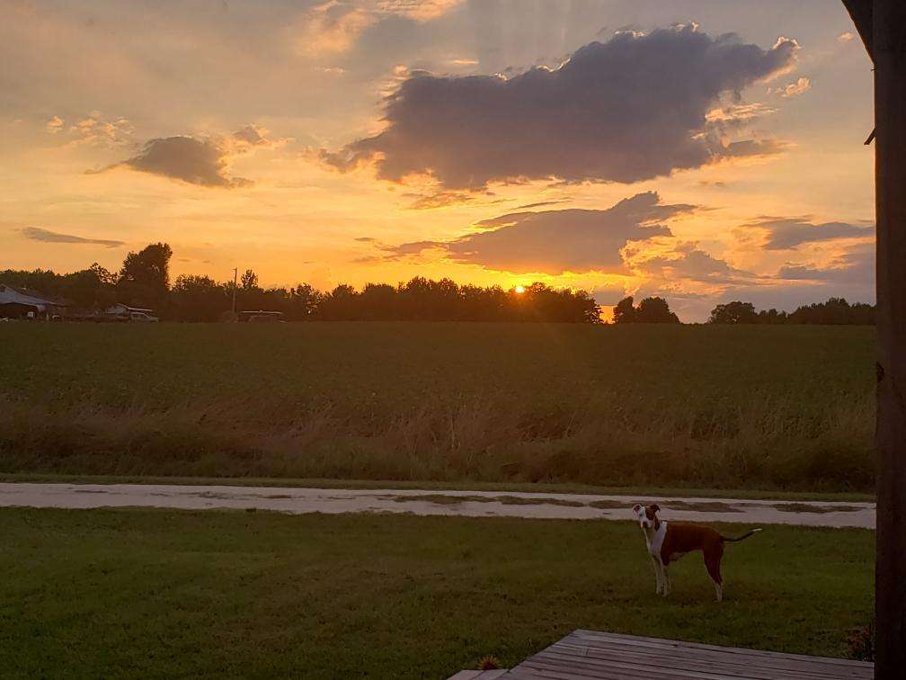 Cbo & Dana's Farm