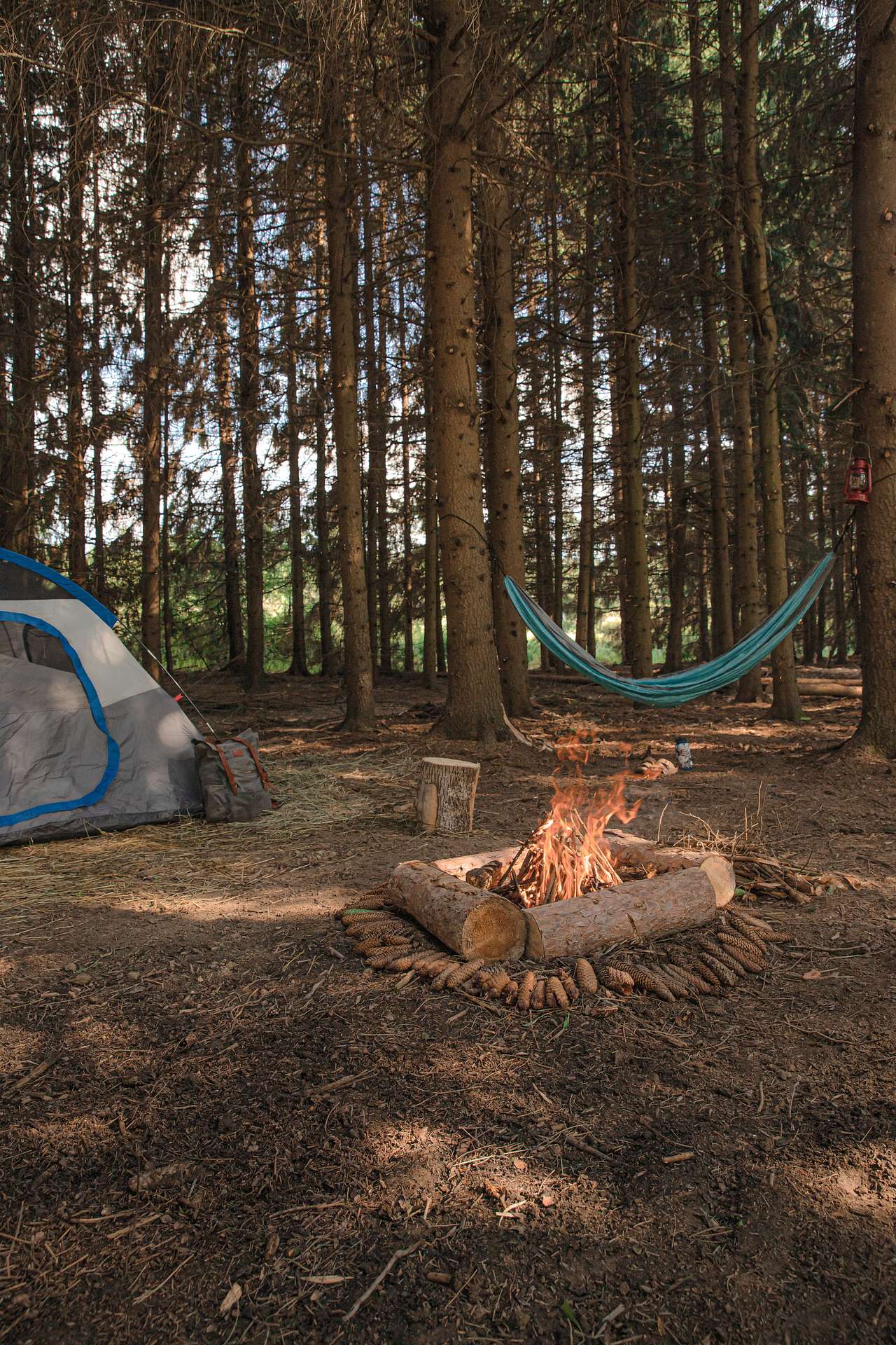 Your wooden oasis