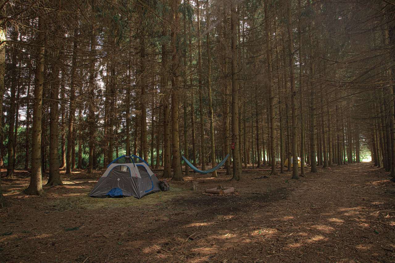 Tempest Ranch camp