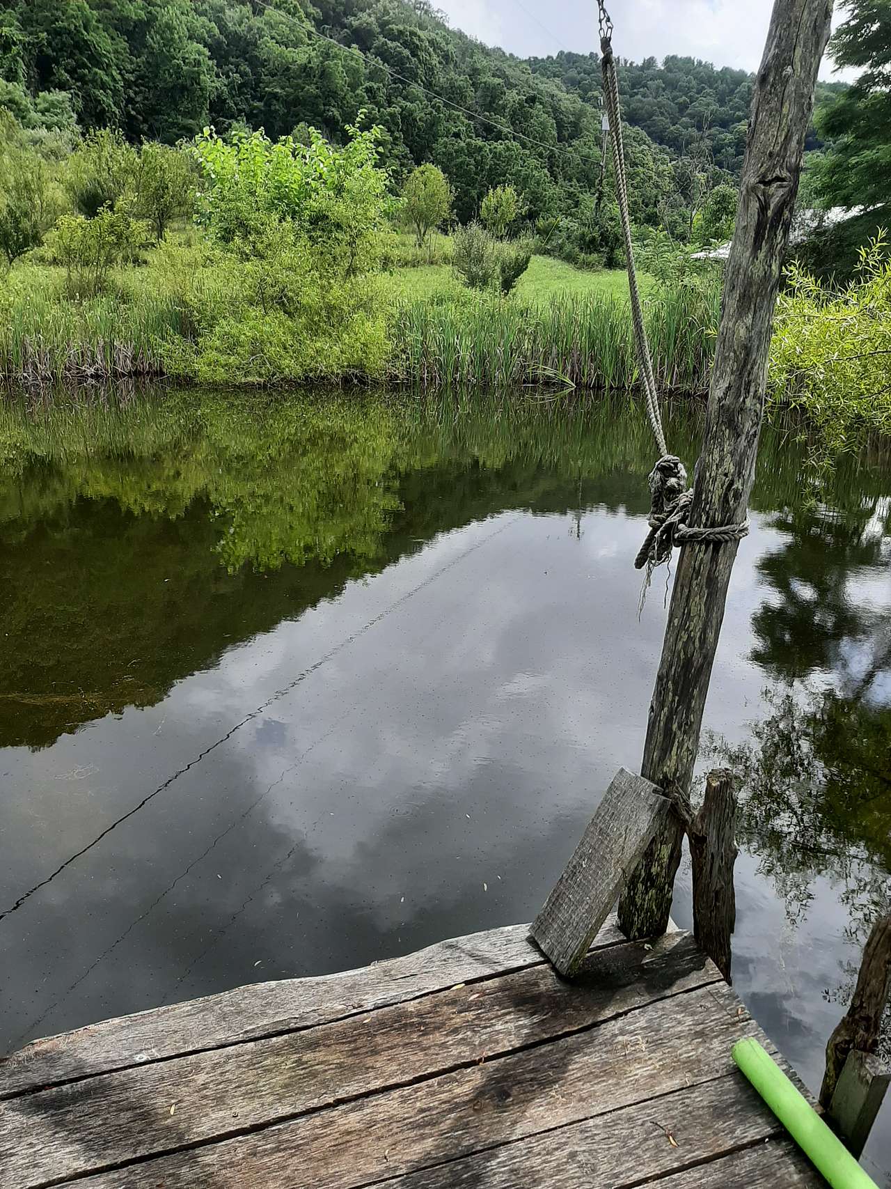 Our best of 4 swimming holes. They are small ponds. This one is about 8 ft deep