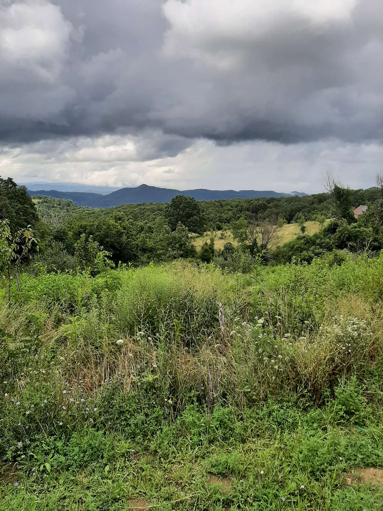 This the view from the fruit farm looking towards the New River.
