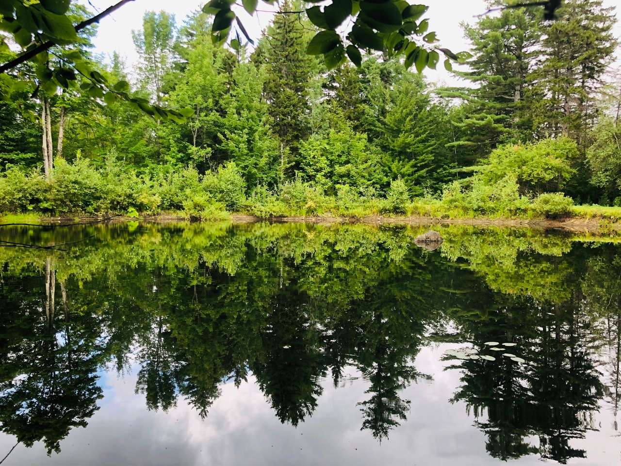 This is looking towards the side of Doug’s Pond that has several places to camp
