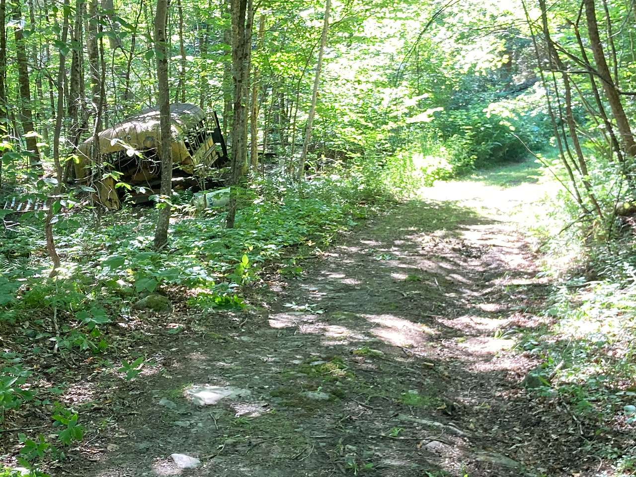 Grand Paws Farm Site 1