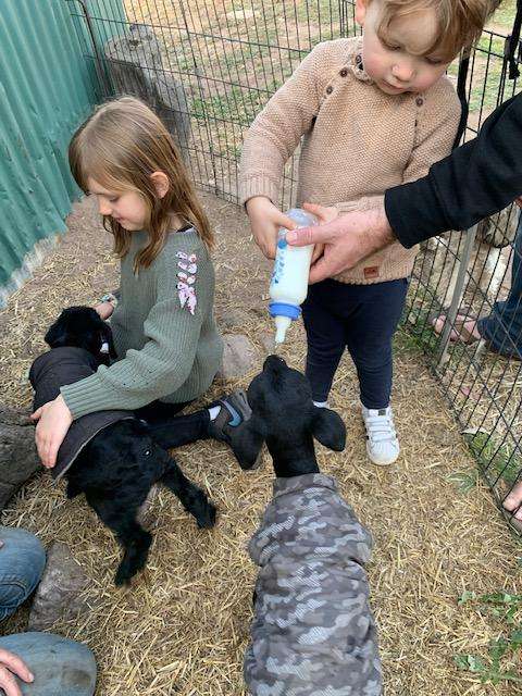 Quamby Park Farm Stay & Petting Zoo NSW