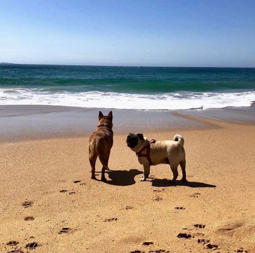 Beach Life