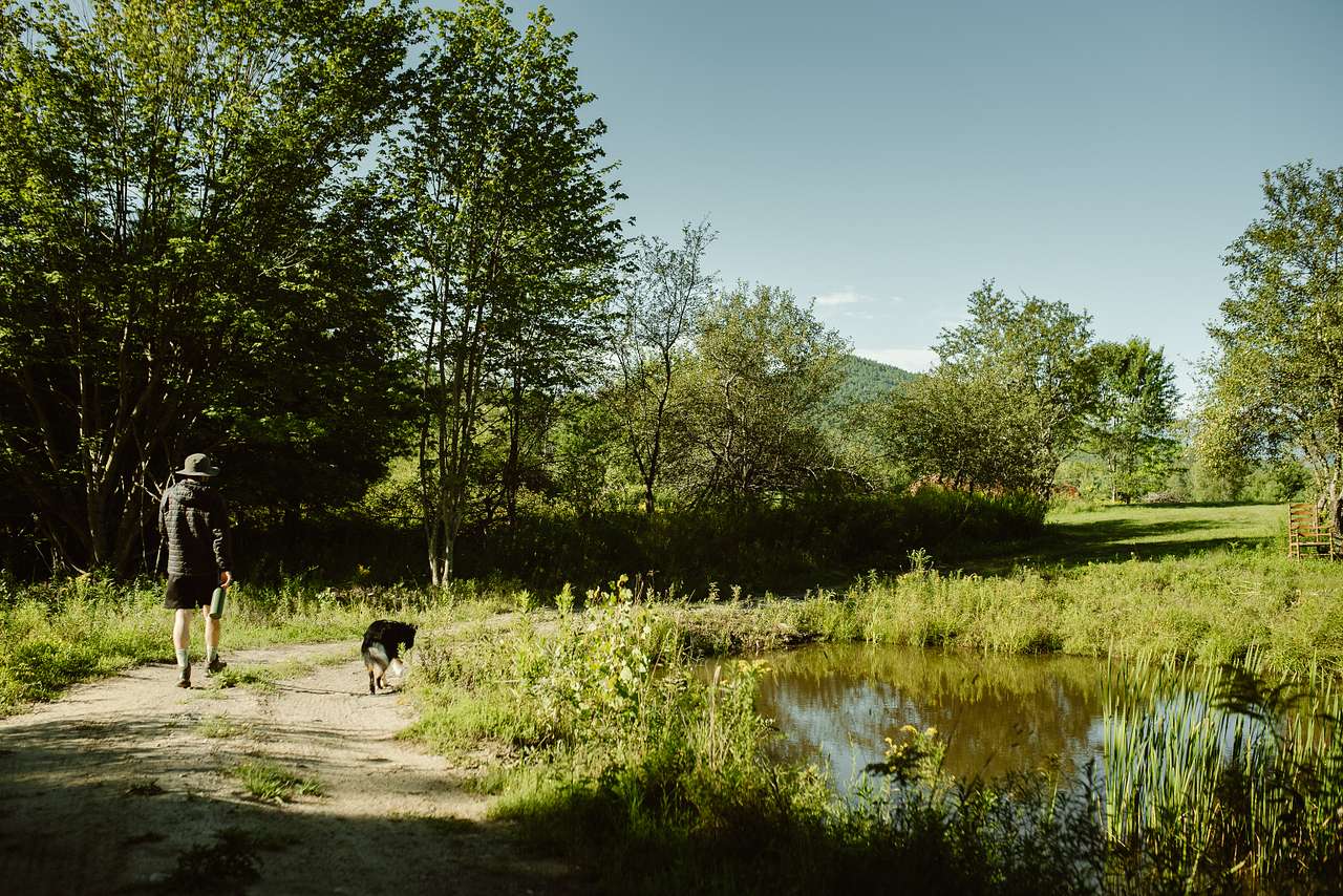 Beautiful pond.