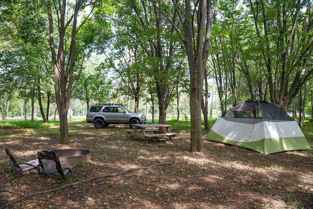 Site 2
