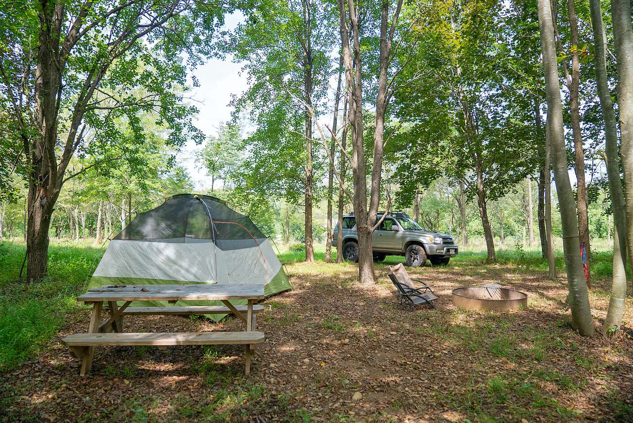 Site 3