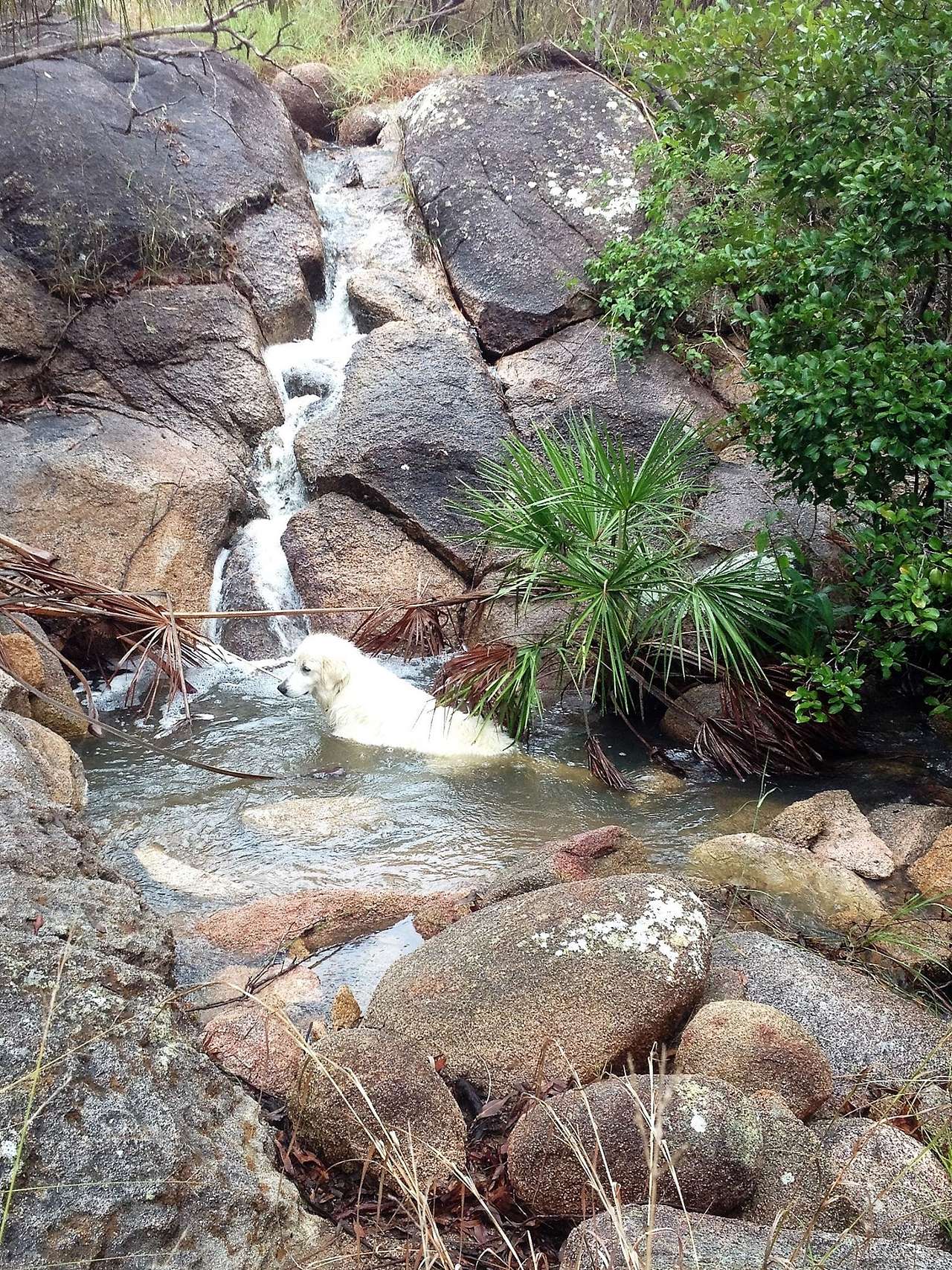 Small creek waterfall that runs during wet seasons.