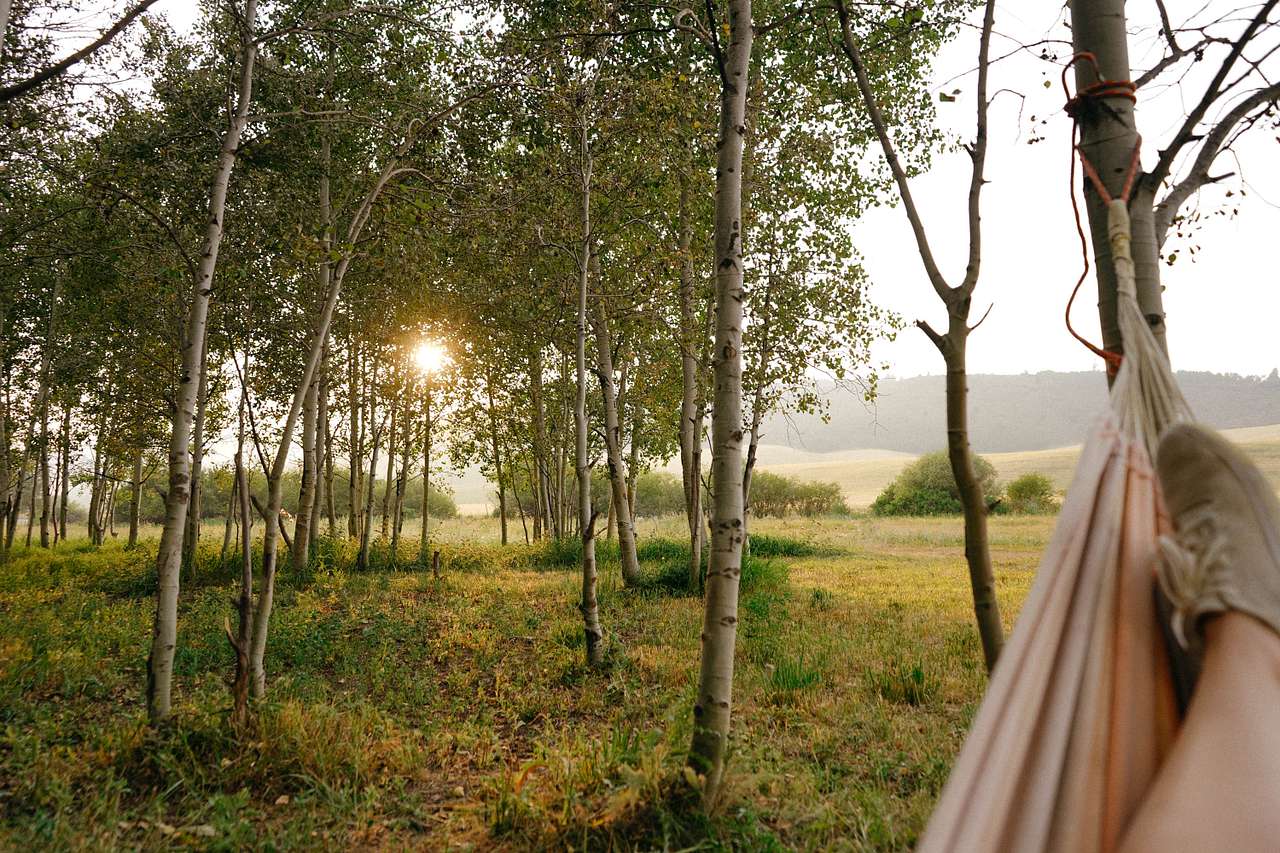 You can't really beat a hammock sunset in the Summer!
