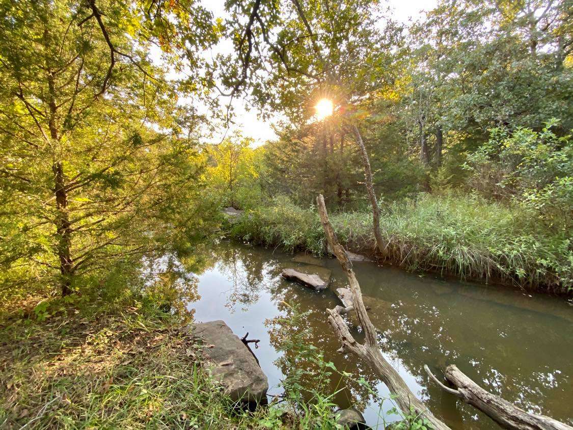 Creekside view.
