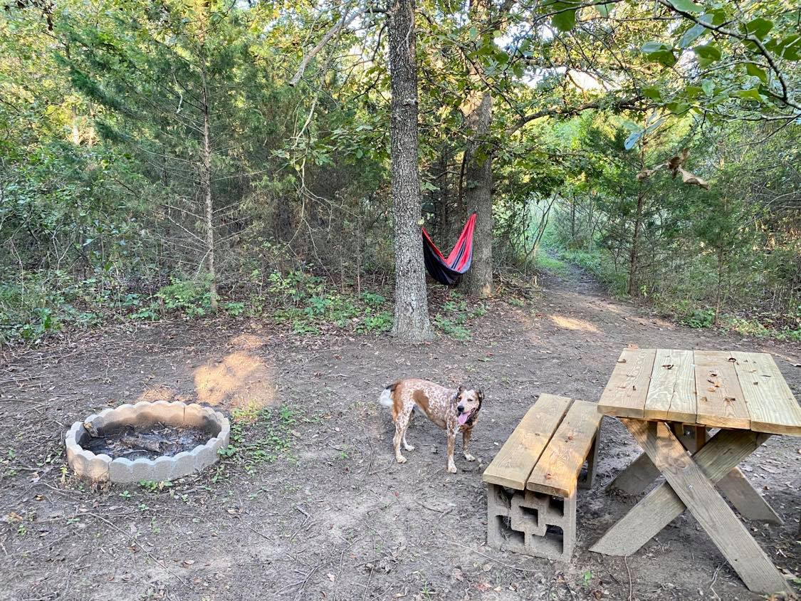The hammock, firepit, and picnic table are ready!