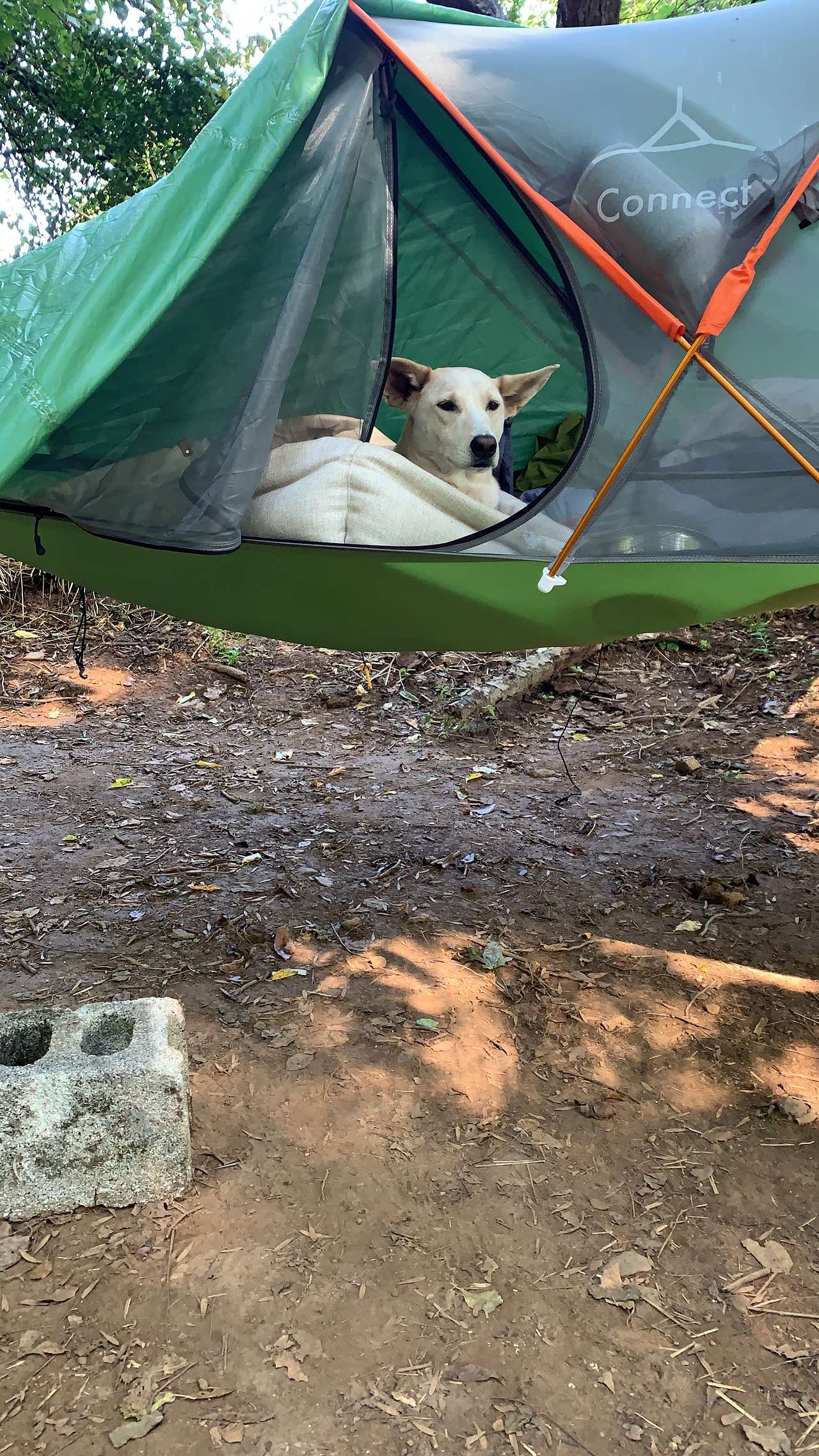 Even chase loved the the views from the tent 