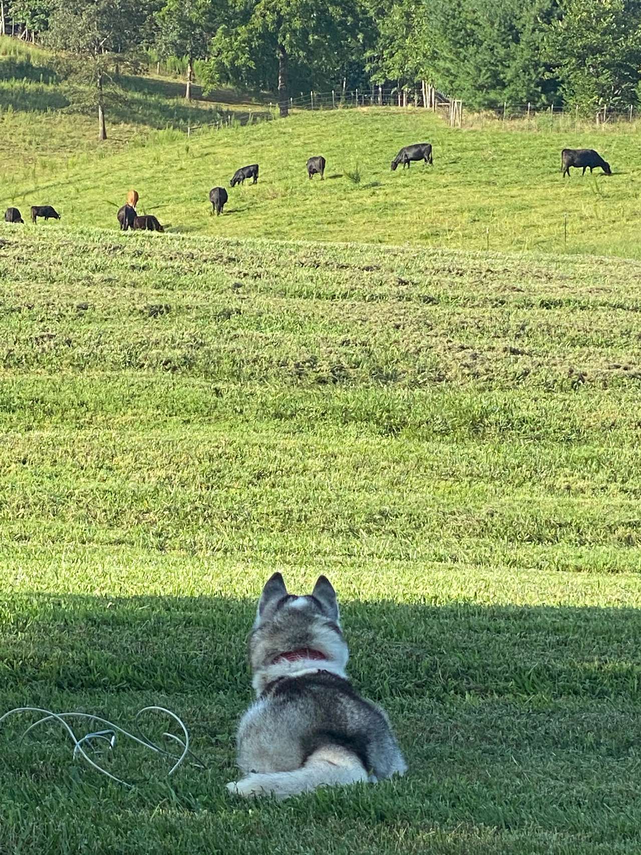 Walnut Hollow Ranch