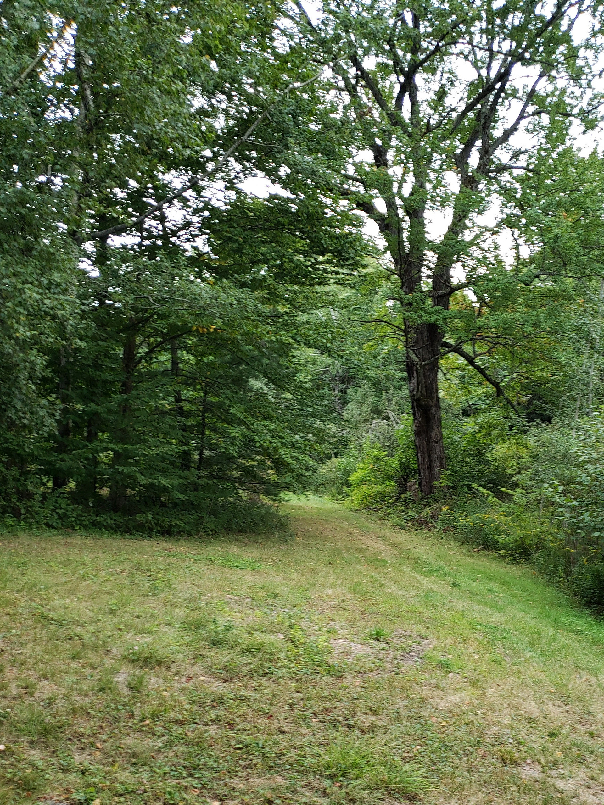 camp site2