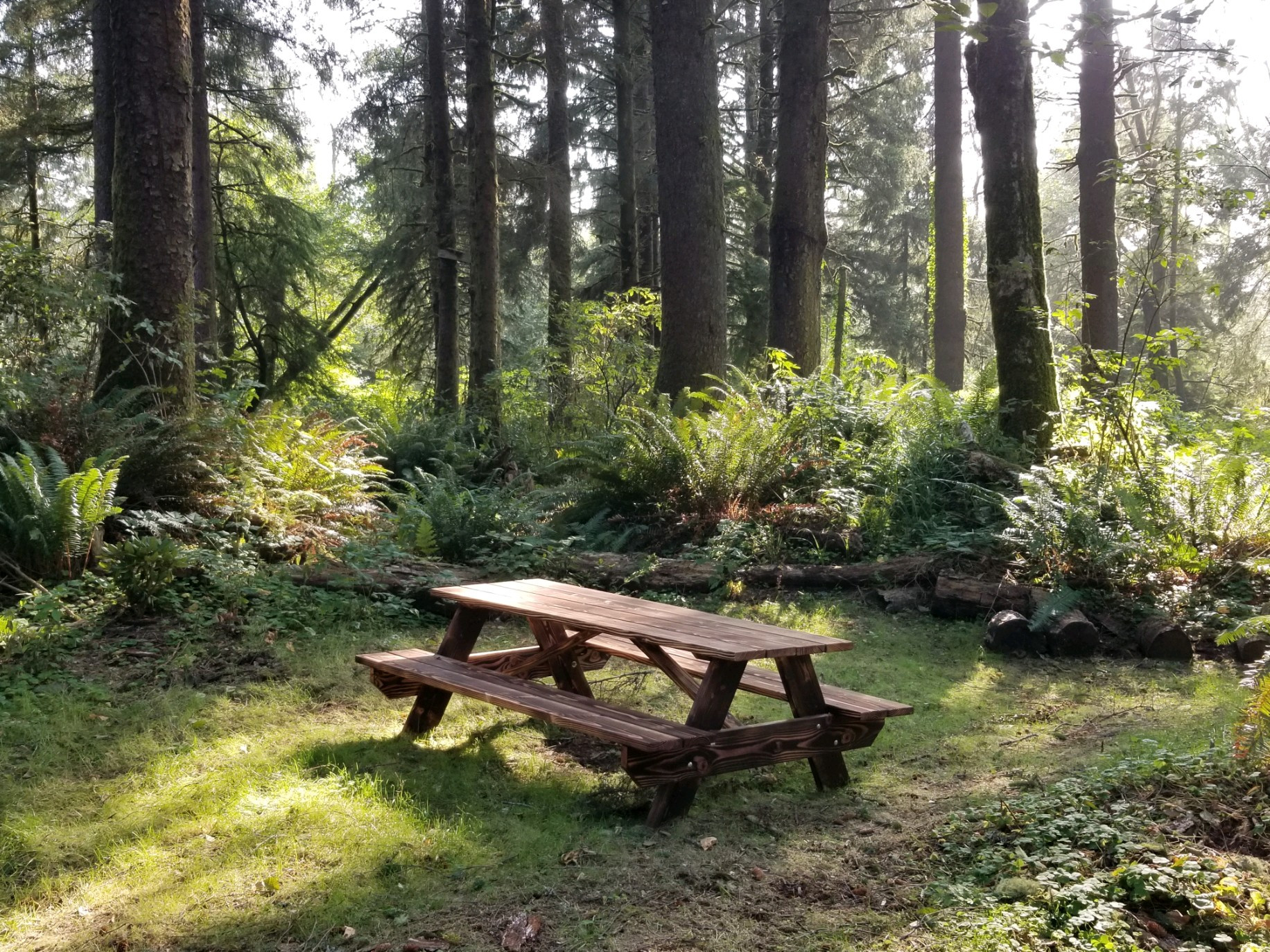 Lost Coast Adventure Camp