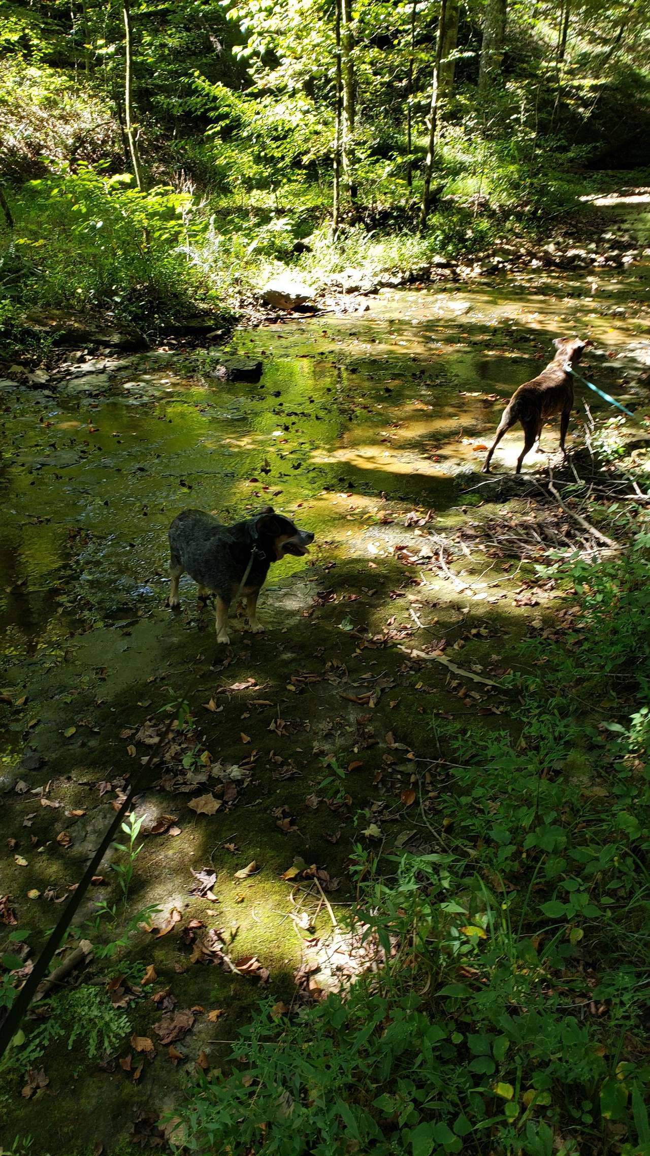 Walking the trails