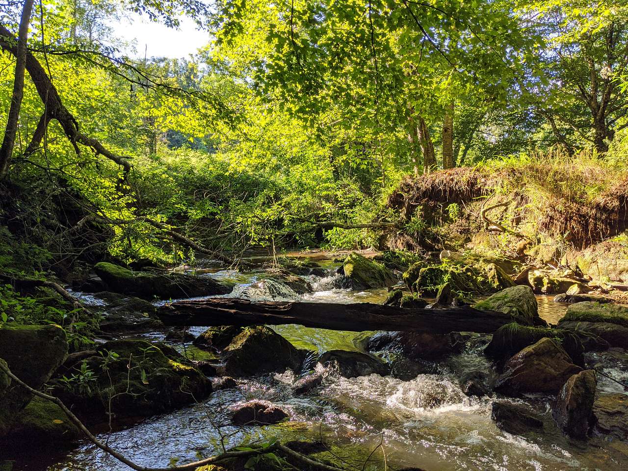This is Mayberry Creek in the center of the property.