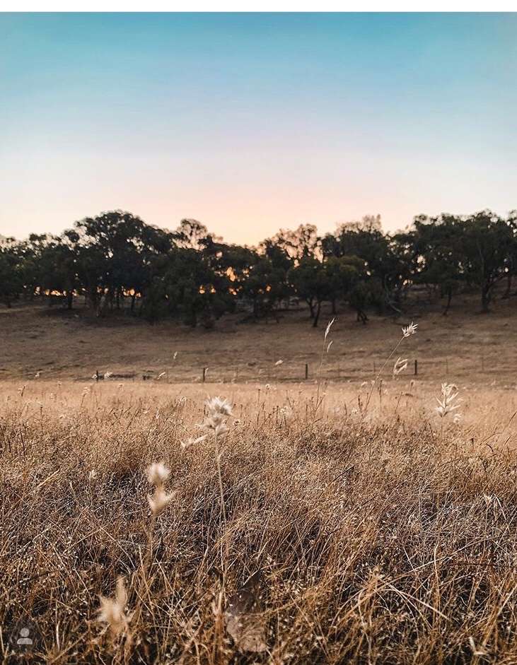 Seven Hills Tallarook