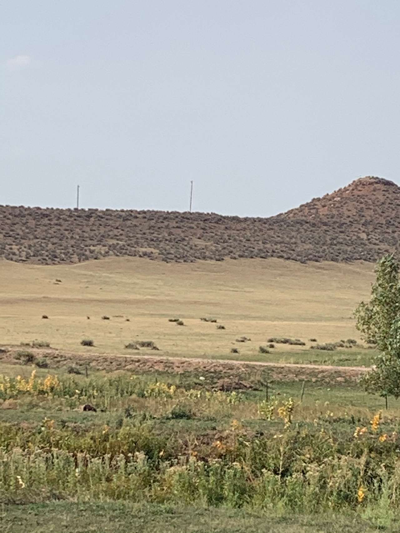 View to SW