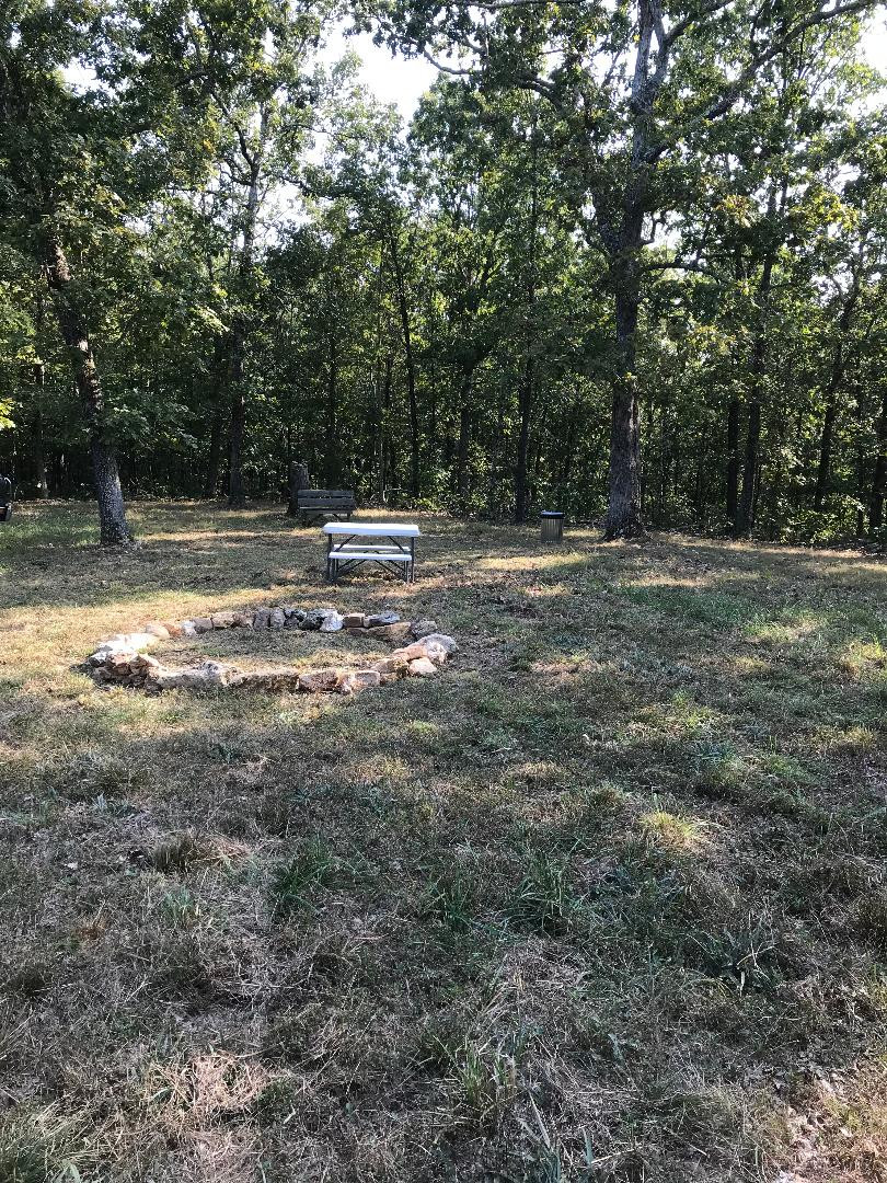Camping Area in clearing