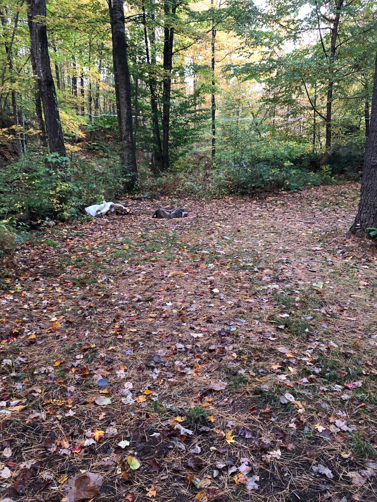 Texas Hill Brook