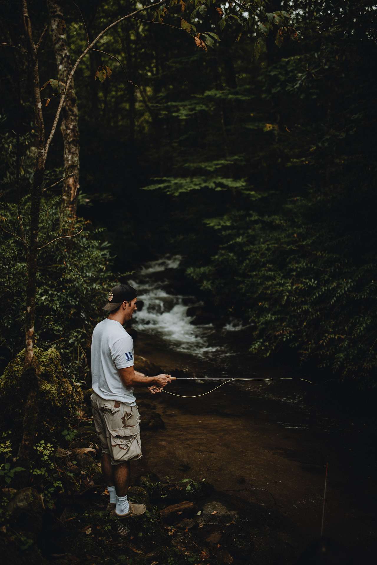 a short walk up the road you can fish the narrow mountain streams  
