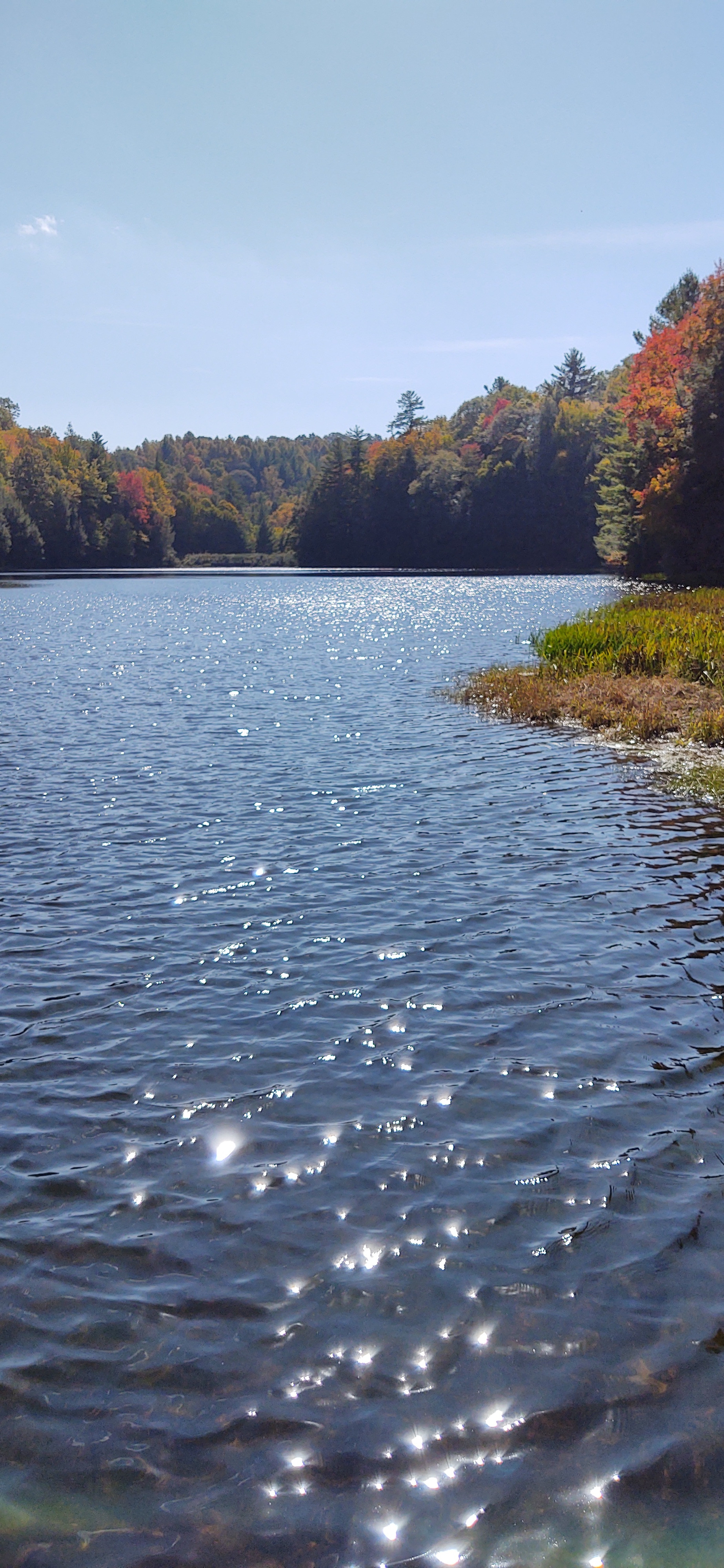 Beartree Campground