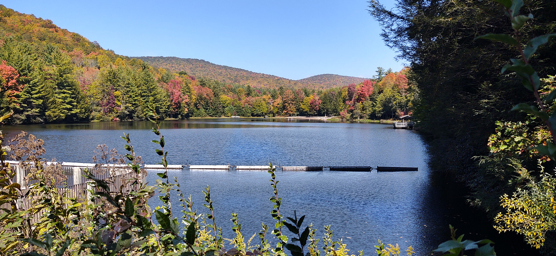 Beartree Campground