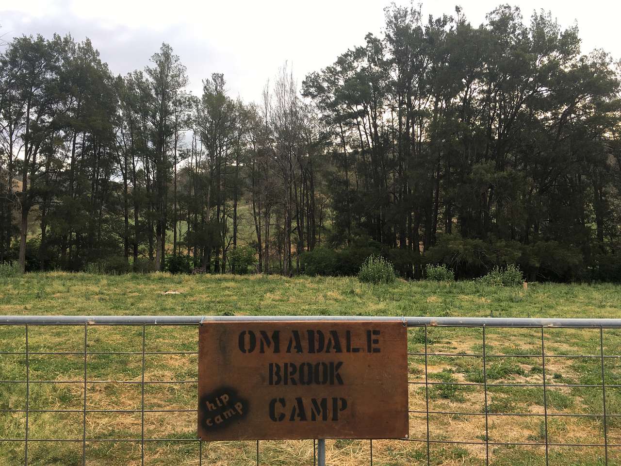 Omadale Brook, Barrington Tops