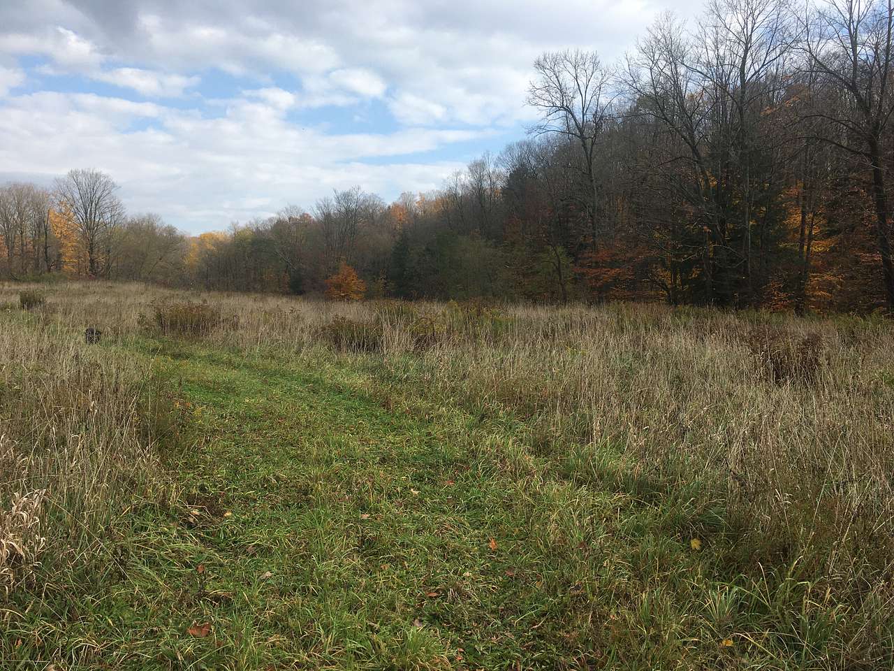 Peacock’s “Field of Dreams”