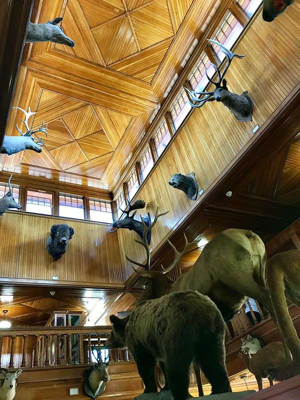 Banff Park Museum National Historic Site