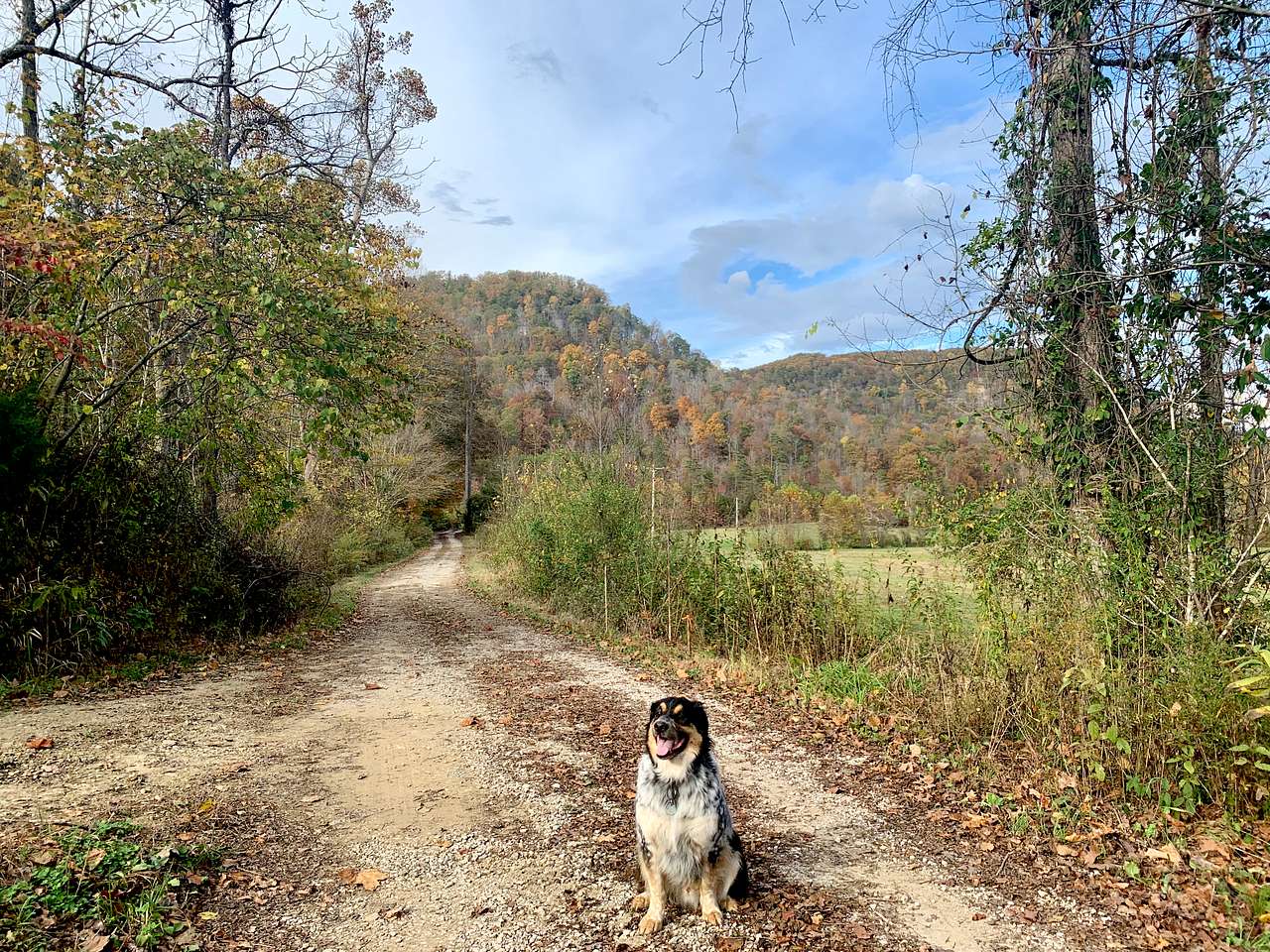 Camp Middle Fork
