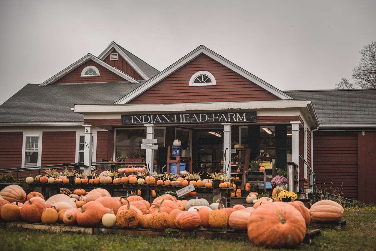 Right across the street is this awesome farm store