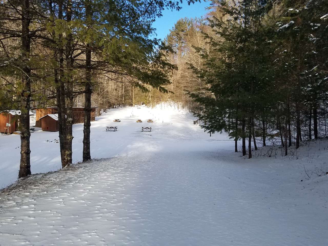 Black Bear Resort